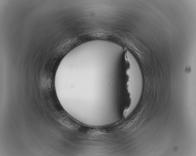 X0000096430597200802211149