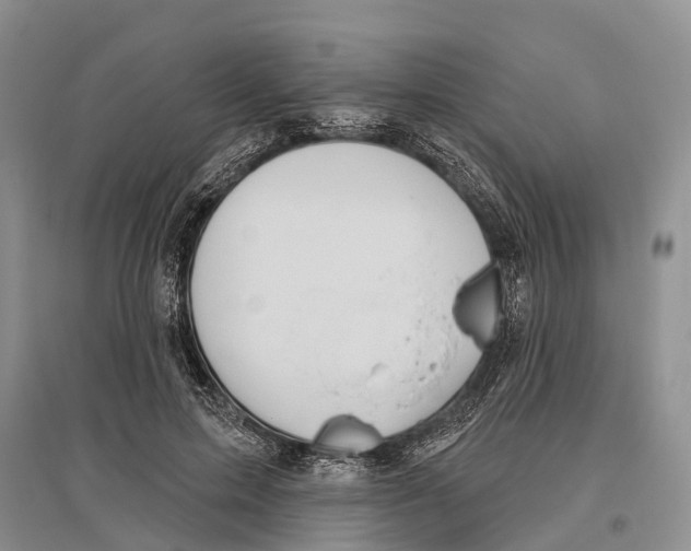 X0000096430599200802211149
