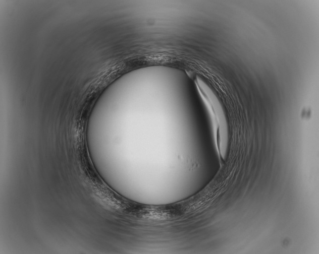 X0000096430601200802211149