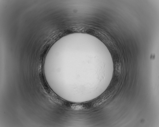 X0000096430602200802211149