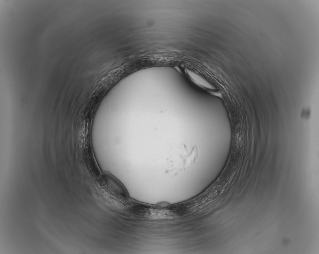X0000096430605200802211149