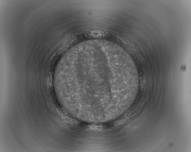 X0000096430606200802211149