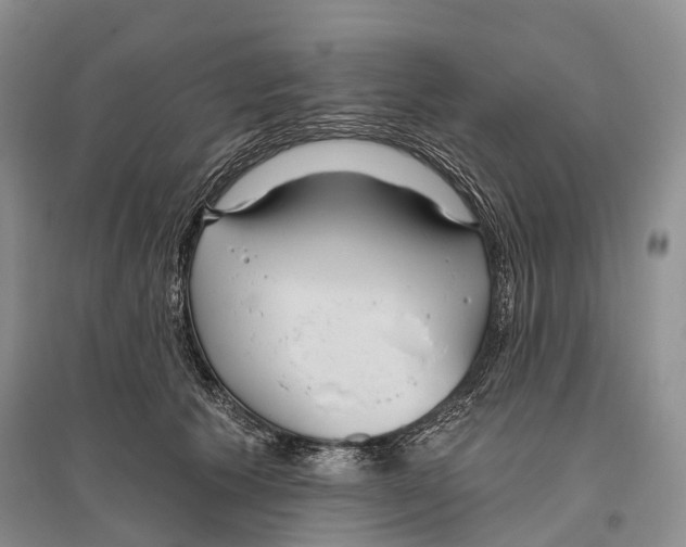 X0000096430609200802211149