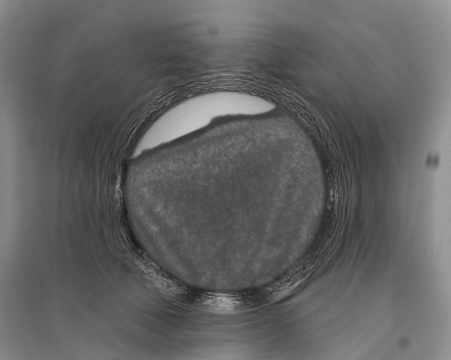 X0000096430610200802211149
