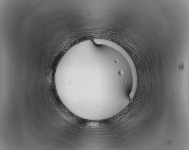 X0000096430611200802211149