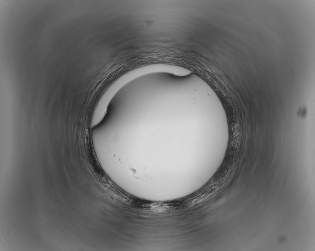 X0000096430612200802211149