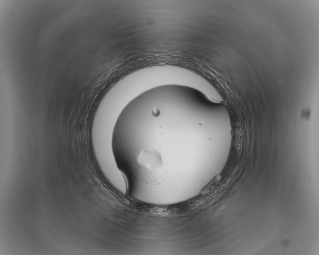 X0000096430613200802211149