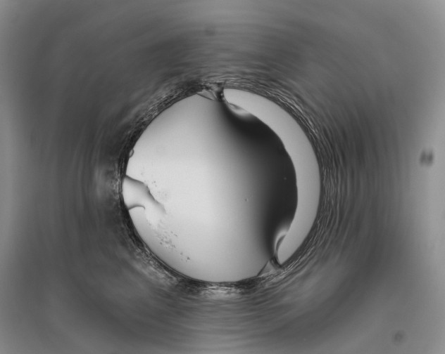 X0000096430617200802211149