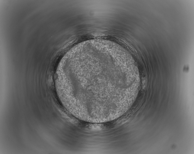 X0000096430618200802211149