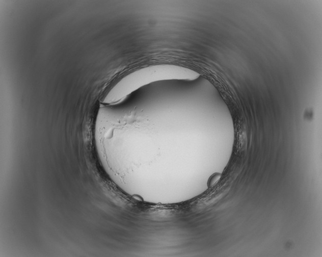 X0000096430620200802211149