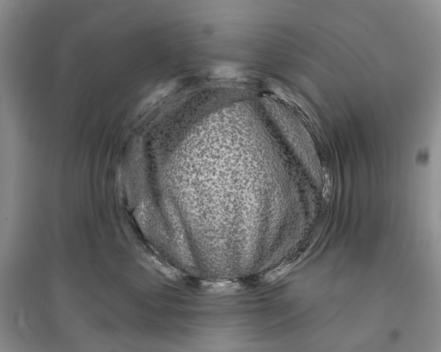 X0000096430621200802211149