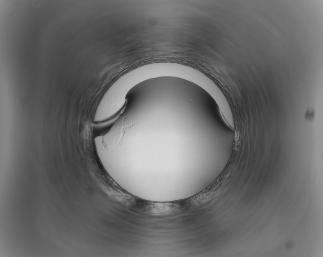 X0000096430623200802211149