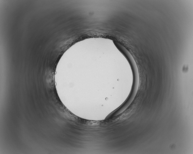 X0000096430624200802211149
