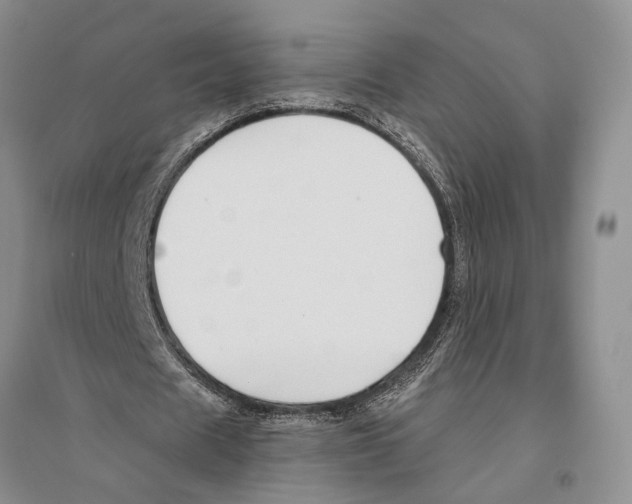 X0000096430625200802211148