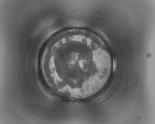 X0000096430627200802211148