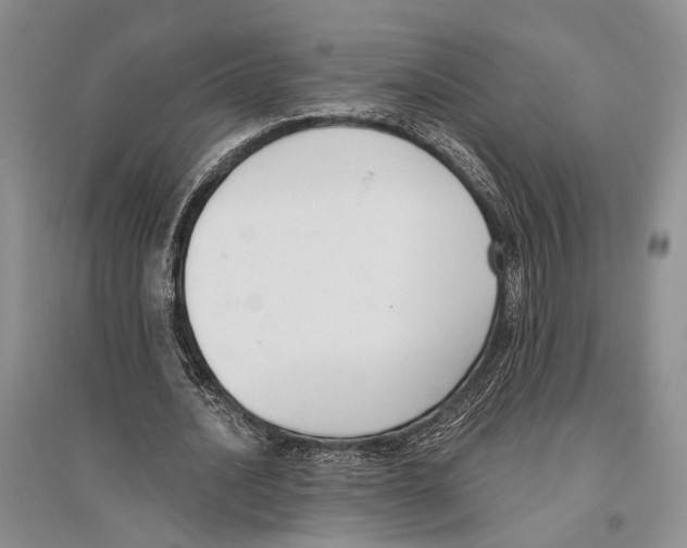 X0000096430628200802211148