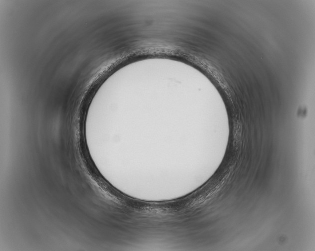 X0000096430629200802211148