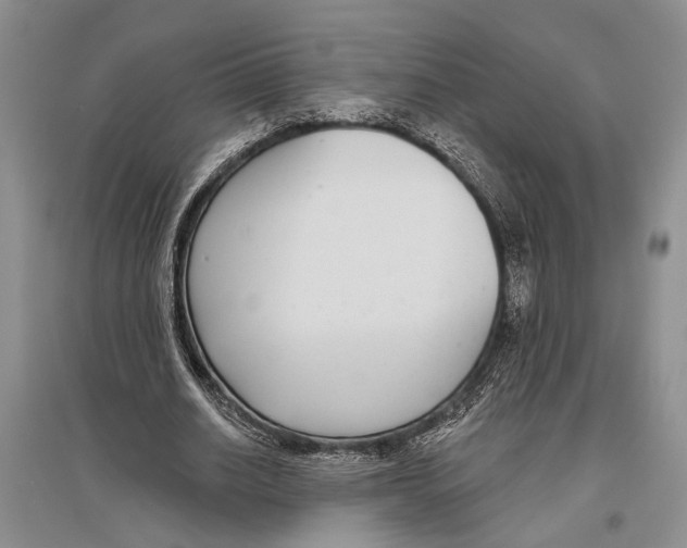X0000096430630200802211148