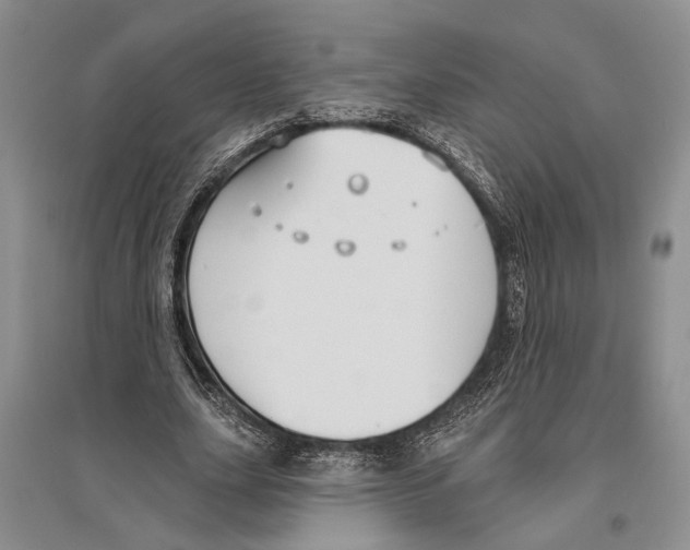 X0000096430631200802211148