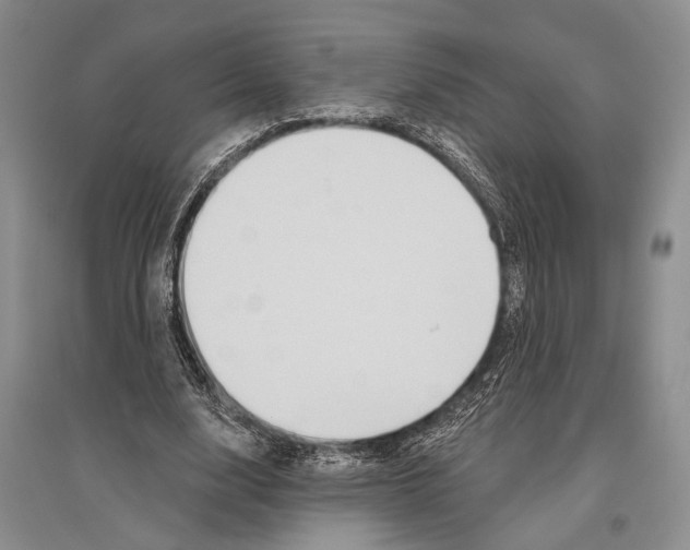 X0000096430632200802211148