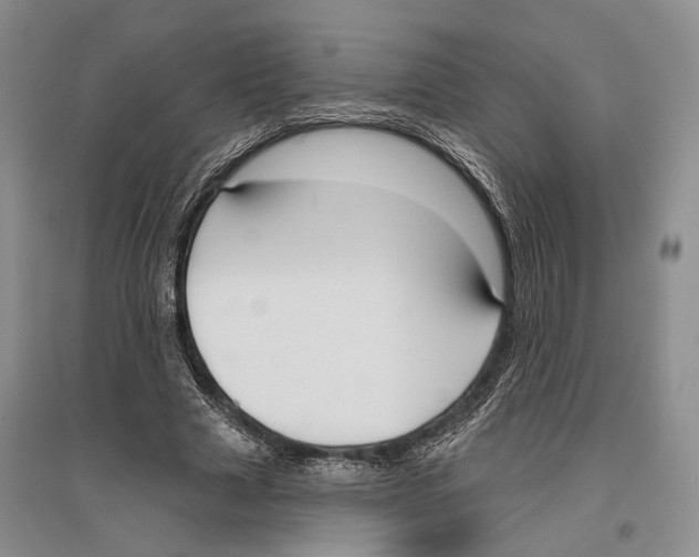 X0000096430633200802211148