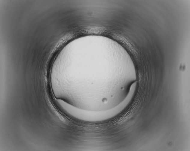 X0000096430634200802211148