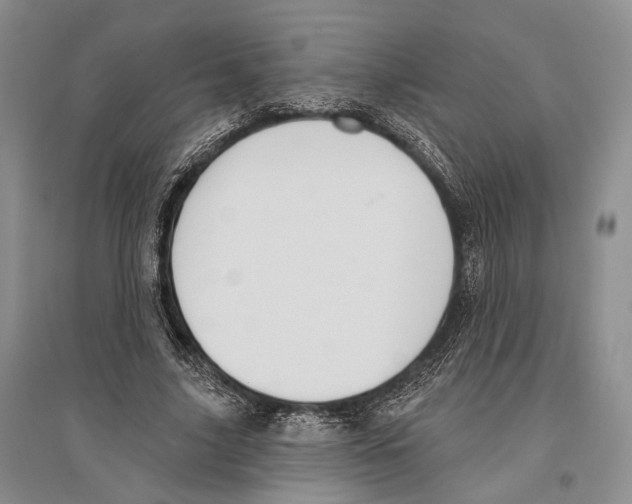 X0000096430635200802211148