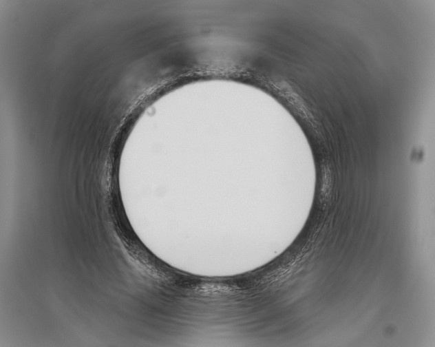 X0000096430636200802211148