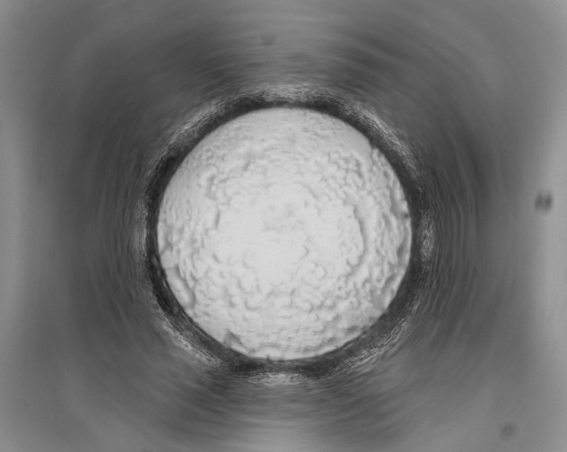 X0000096430637200802211148