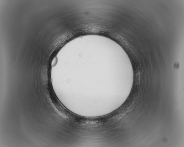 X0000096430638200802211148