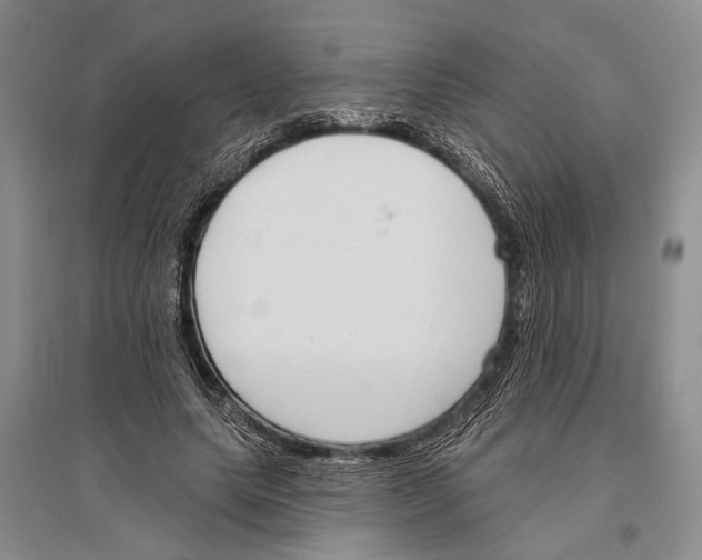 X0000096430639200802211148