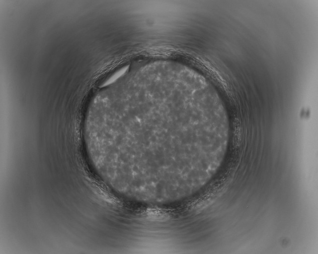 X0000096430641200802211148