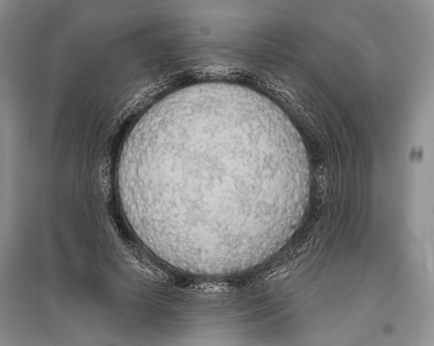 X0000096430642200802211148