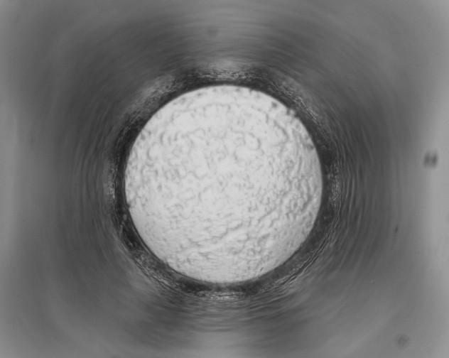 X0000096430643200802211148