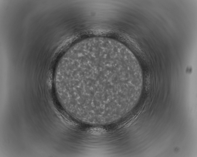 X0000096430644200802211148