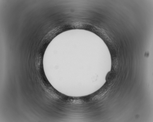 X0000096430645200802211148