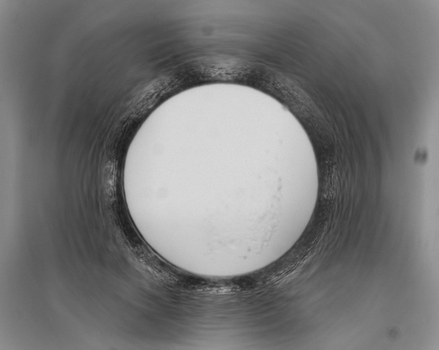 X0000096430646200802211148