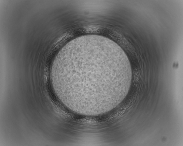 X0000096430648200802211148