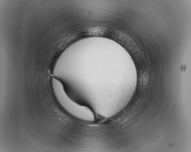 X0000096430649200802211148
