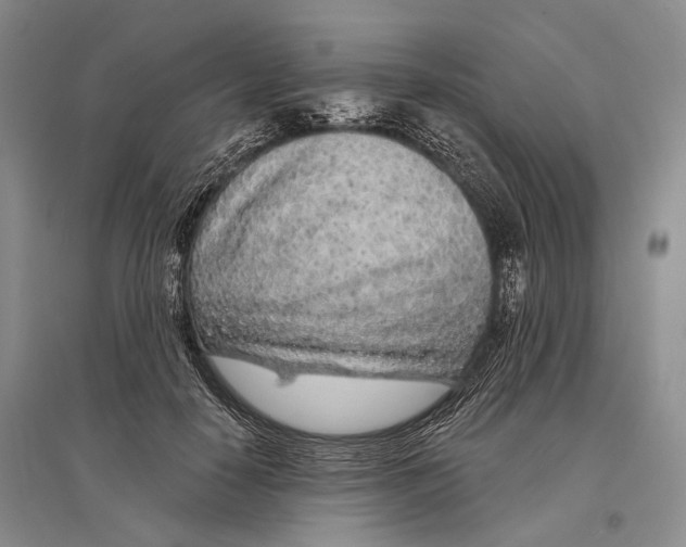 X0000096430650200802211148