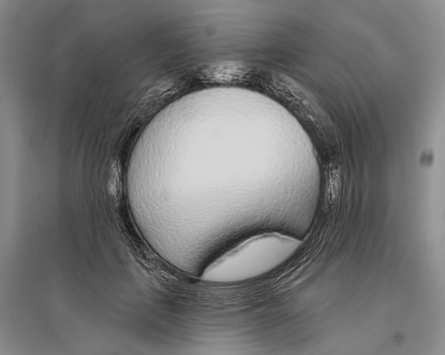 X0000096430651200802211148
