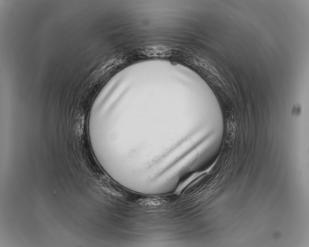 X0000096430652200802211148