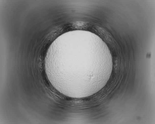 X0000096430653200802211148