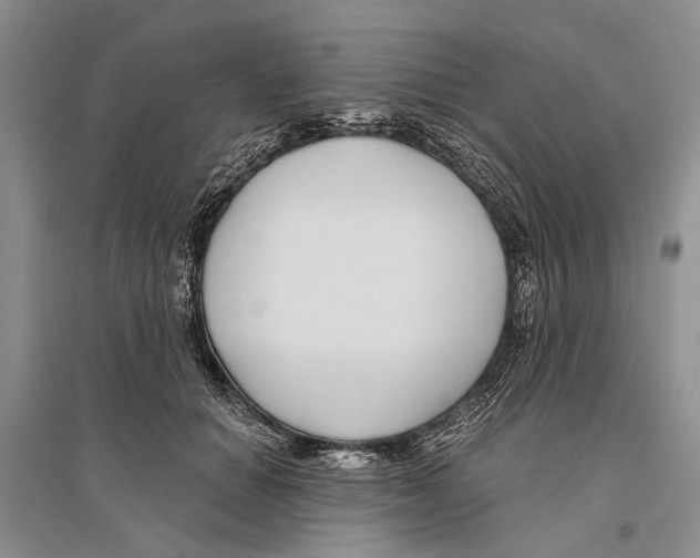 X0000096430654200802211148