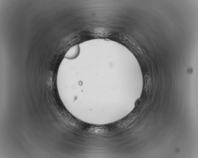 X0000096430655200802211148