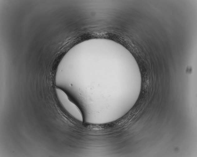 X0000096430658200802211148