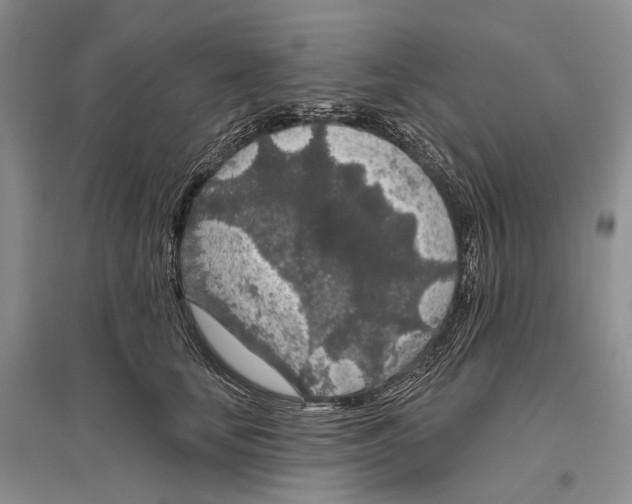 X0000096430659200802211148