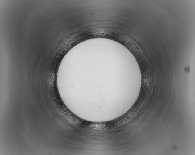 X0000096430660200802211148