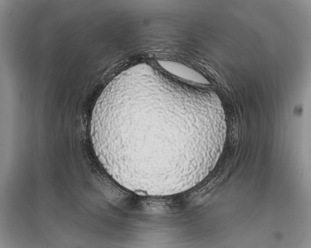 X0000096430661200802211148