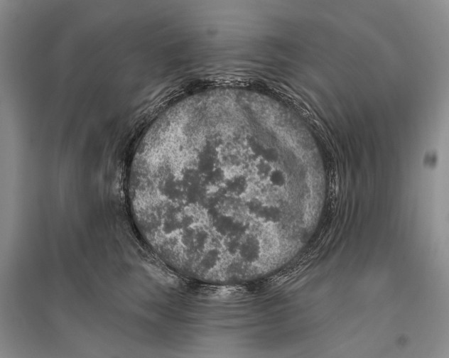 X0000096430663200802211148